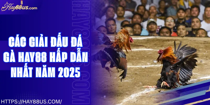 Các Giải Đấu Đá Gà Hay88